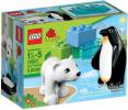 10501.jpg